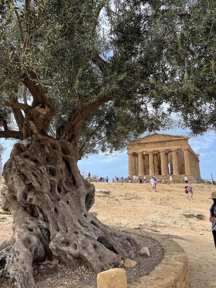 Ancient Greek columns at the Valley of the Temples in Agrigento, Sicily, surrounded by the colors of the spring landscape.